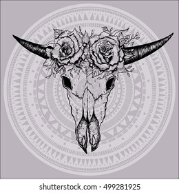 Hand drawn cow or bull skull. Vector illustration isolated. Ethnic design, mystic tribal boho symbol for your use.