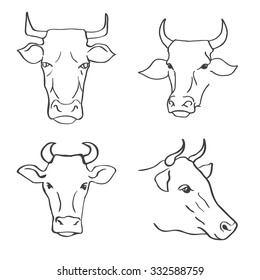 Hand Drawn Cow Heads Vector Illustration