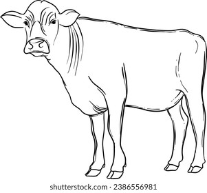 Hand Drawn Cow Illustration Isolated Vector