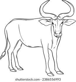 Hand Drawn Cow Illustration Isolated Vector