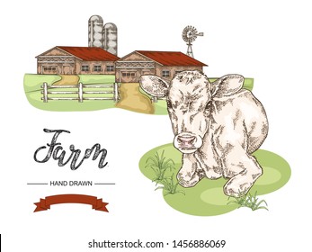 Hand drawn cow lying on the grass. Calf, bull, cattle vector illustration. Rural lanscape with farm houses. Farm animal collection. 
