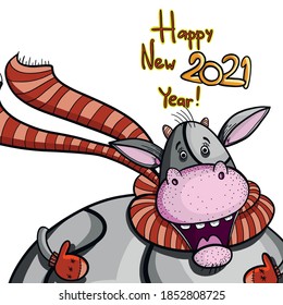 Hand drawn cow new 2021 year vector design