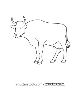 Hand drawn cow. Sketch vector illustration.