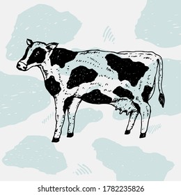 hand drawn cow vector illustration