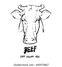 Hand drawn Cows head outline on white background. Drawing Vector illustration outline. Beef organic meat farm.