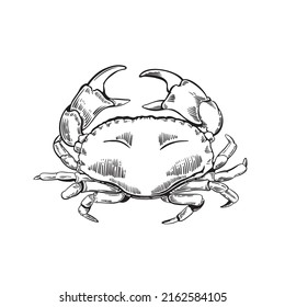 Hand drawn crab illustration in engraving style. Marine life. Vector illustration