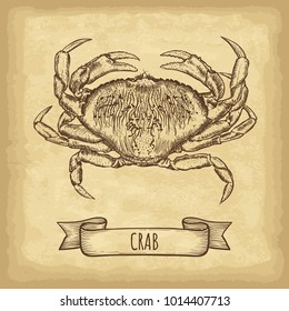 Hand drawn crab isolated. Old craft paper texture background. Ribbon banner. Engraved style vector illustration. Template for your design works.