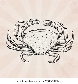 Hand drawn crab on a background of old paper