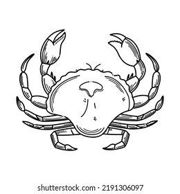 Hand drawn crab seafood vector illustration. Ocean aquatic underwater engraving vector animal illustration on white background