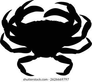 Hand drawn crab silhouette illustration. Ocean animal silhouette.