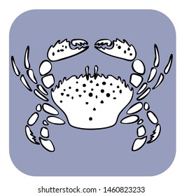 Hand drawn crab sketch vector illustration. Seafood vector