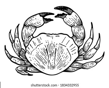 Hand drawn crab, vector, eps