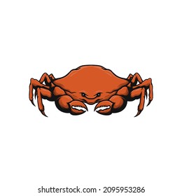 hand drawn crab vector illustration