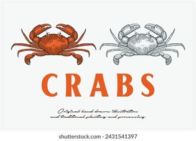 hand drawn crab vector illustration