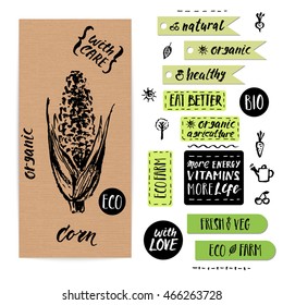 Hand drawn craft paper vegetable label with lettering. Eco, bio, organic farm corn.