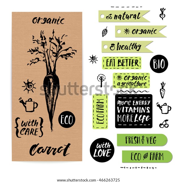 Hand drawn craft paper vegetable label with\
lettering. Eco, bio, organic farm\
carrot.