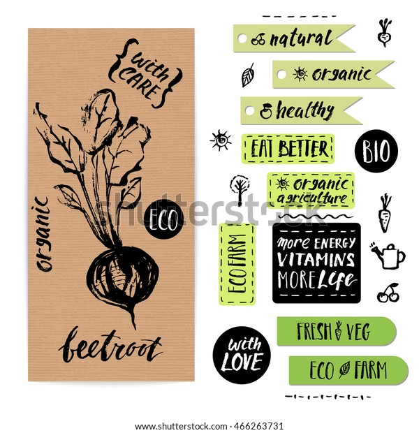 Hand drawn craft paper vegetable label\
with lettering. Eco, bio, organic farm\
beetroot.