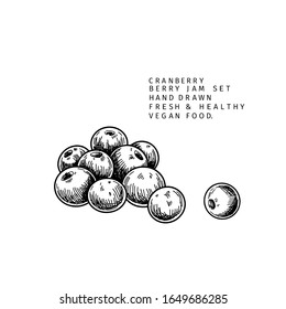 Handgezeichneter Kranberry-Ast, Blatt und Beeren. Gravierte Vektorillustration. Cowberry, Blaubeerenwild. Sommerernte, Konfitüre oder Marmelade vegan Zutat. Menü-, Paket-, Kosmetik- und Lebensmitteldesign