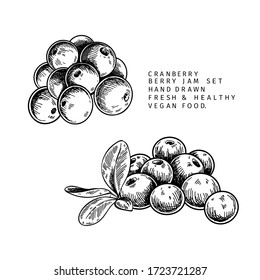 Hand drawn cranberry branch, leaf and berry. Engraved vector illustration. Cowberry, blueberry wild plant. Summer harvest, jam or marmalade vegan ingredient. Menu, package, cosmetic and food design