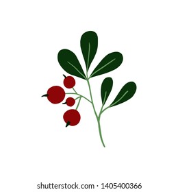 Hand drawn cranberry illustration. Vector illustration can be used for fabrics, wallpaper, web, invitation, card.