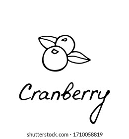 Hand drawn cranberry logo for print and web. Berry icon and raspberry inscription. Vector illustration.
