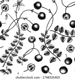 Hand drawn cranberry vector background. Wild berries seamless pattern. Hand drawing. Vintage forest berry and flowers sketch. Cranberries plant backdrop. Healthy food ingredient