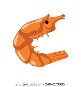 Hand drawn crawfish illustration on white background