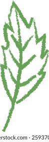 Hand Drawn Crayon Leaf Vector Illustration