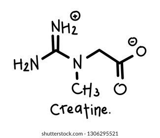 190 Creatine molecule Images, Stock Photos & Vectors | Shutterstock