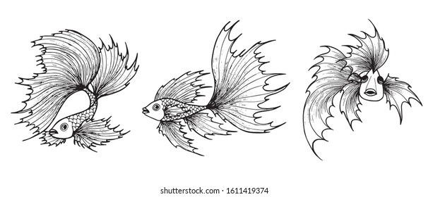 Hand drawn creative fish set vector artistic illustration.