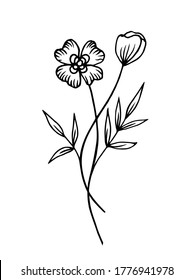 Hand drawn creative flower doodle. White background. Ink doodle illustration. Black and white vector floral illustration. Beautiful vector illustration.