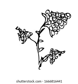 Dibujo a mano de una flor creativa. Diseño de vectores.
