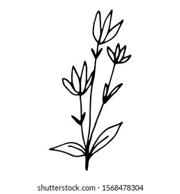 Hand drawn creative flower.  White background. Ink doodle illustration. Hand-drawn vintage, minimalistic black flower. Beautiful vector illustration.
