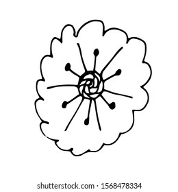 Hand drawn creative flower.  White background. Ink doodle illustration. Hand-drawn vintage, minimalistic black flower. Beautiful vector illustration.