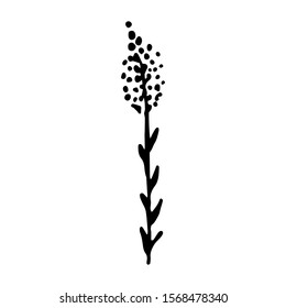 Hand drawn creative flower.  White background. Ink doodle illustration. Hand-drawn vintage, minimalistic black flower. Beautiful vector illustration.