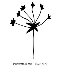 Hand drawn creative flower.  White background. Ink doodle illustration. Hand-drawn vintage, minimalistic black flower. Beautiful vector illustration.
