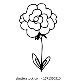 Hand drawn creative flower.  White background. Ink doodle illustration. Hand-drawn vintage, minimalistic black flower. Beautiful vector illustration.