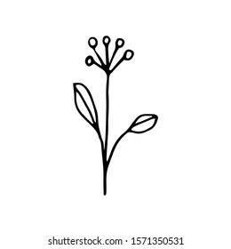 Hand drawn creative flower.  White background. Ink doodle illustration. Hand-drawn vintage, minimalistic black flower. Beautiful vector illustration.