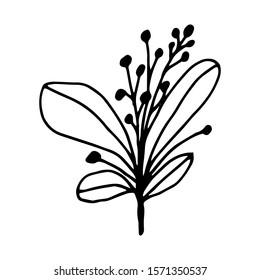 Hand drawn creative flower.  White background. Ink doodle illustration. Hand-drawn vintage, minimalistic black flower. Beautiful vector illustration.