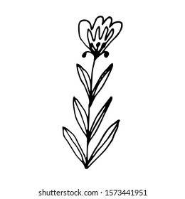 Hand drawn creative flower.  White background. Ink doodle illustration. Hand-drawn vintage, minimalistic black flower. Beautiful vector illustration.