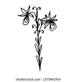 Hand drawn creative flower.  White background. Ink doodle illustration. Hand-drawn vintage, minimalistic black flower. Beautiful vector illustration.