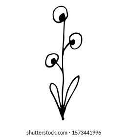 Hand drawn creative flower.  White background. Ink doodle illustration. Hand-drawn vintage, minimalistic black flower. Beautiful vector illustration.