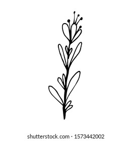 Hand drawn creative flower.  White background. Ink doodle illustration. Hand-drawn vintage, minimalistic black flower. Beautiful vector illustration.