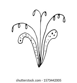 Hand drawn creative flower.  White background. Ink doodle illustration. Hand-drawn vintage, minimalistic black flower. Beautiful vector illustration.