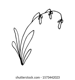Hand drawn creative flower.  White background. Ink doodle illustration. Hand-drawn vintage, minimalistic black flower. Beautiful vector illustration.