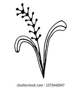 Hand drawn creative flower.  White background. Ink doodle illustration. Hand-drawn vintage, minimalistic black flower. Beautiful vector illustration.