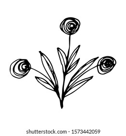 Hand drawn creative flower.  White background. Ink doodle illustration. Hand-drawn vintage, minimalistic black flower. Beautiful vector illustration.