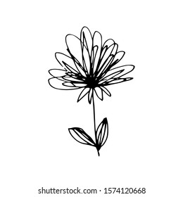 Hand drawn creative flower.  White background. Ink doodle illustration. Hand-drawn vintage, minimalistic black flower. Beautiful vector illustration.