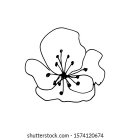 Hand drawn creative flower.  White background. Ink doodle illustration. Hand-drawn vintage, minimalistic black flower. Beautiful vector illustration.