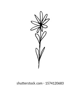 Hand drawn creative flower.  White background. Ink doodle illustration. Hand-drawn vintage, minimalistic black flower. Beautiful vector illustration.